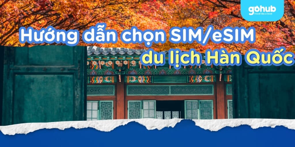 Sim/eSIM Du Lịch Hàn Quốc: Hướng Dẫn Chọn Loại Tốt Nhất