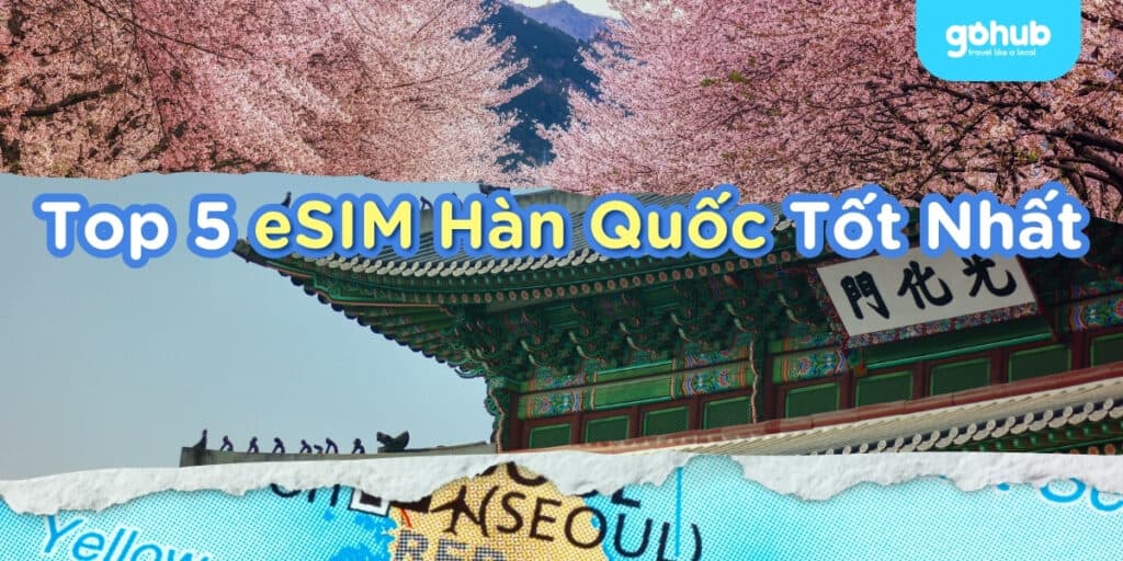 eSIM Hàn Quốc Nên Chọn Loại Nào? So Sánh Gohub, Airalo, Jetpac, Holafly Và Nomad