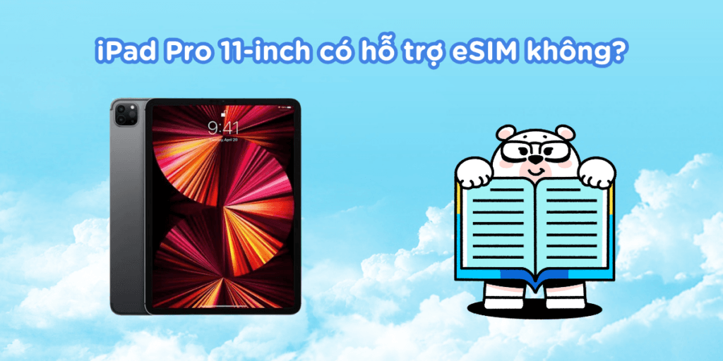 iPad Pro 11-inch có hỗ trợ eSIM không?